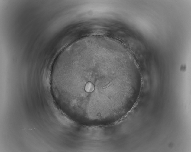 X0000097630146200803211817