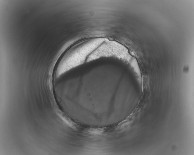 X0000097630147200803211817