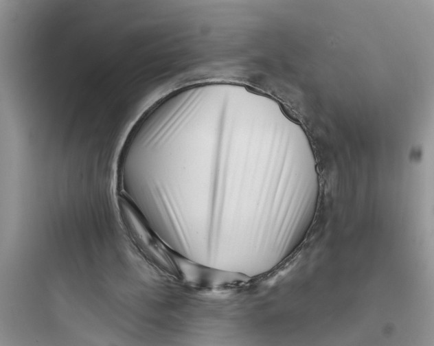 X0000097630148200803211817