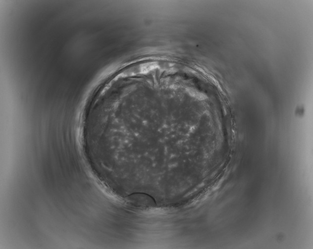 X0000097630149200803211817