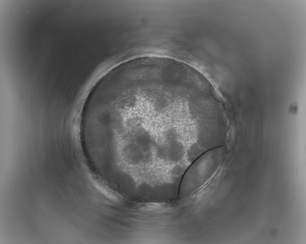 X0000097630151200803211817