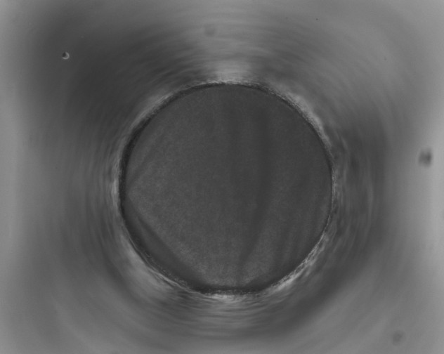 X0000097630154200803211818