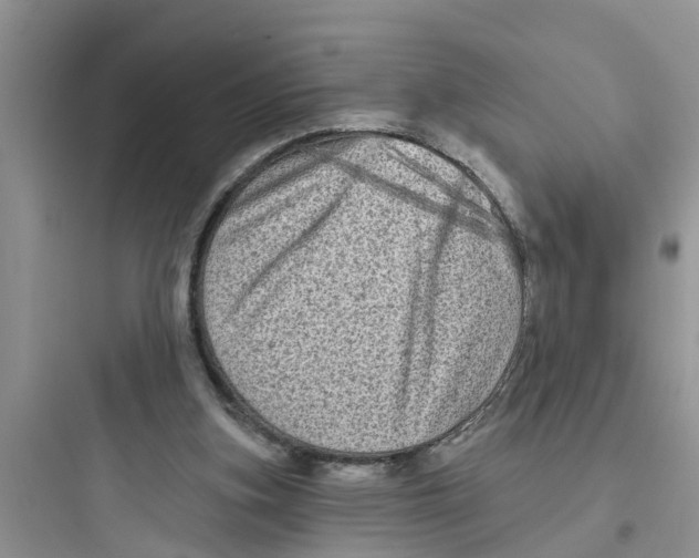 X0000097630155200803211818