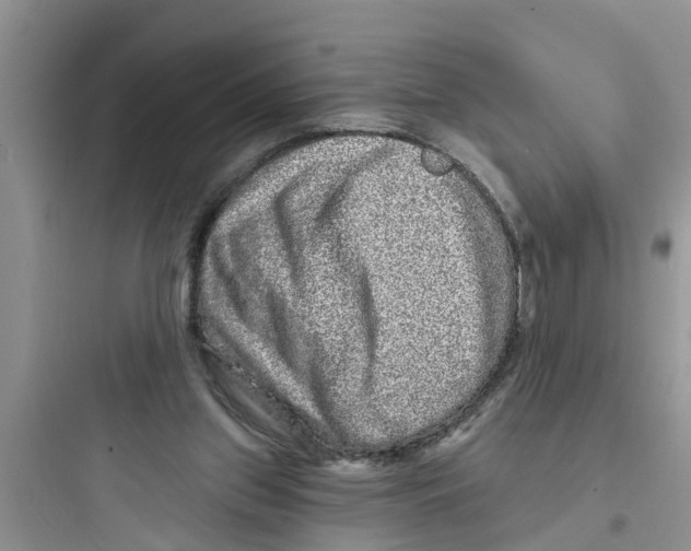 X0000097630157200803211818