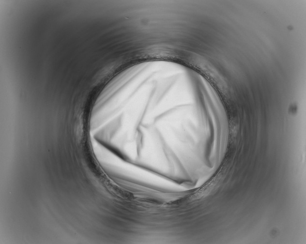 X0000097630158200803211818