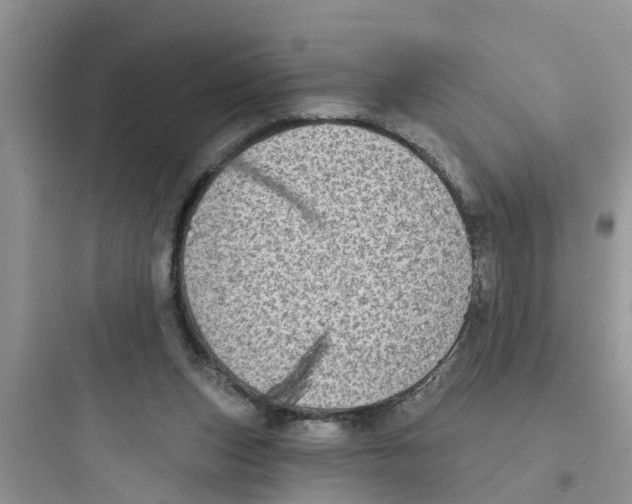 X0000097630159200803211818