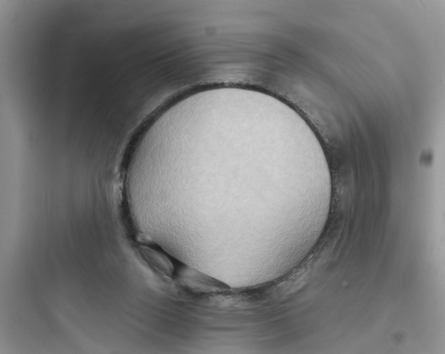 X0000097630160200803211818