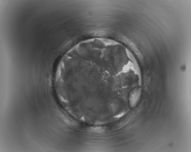 X0000097630161200803211818