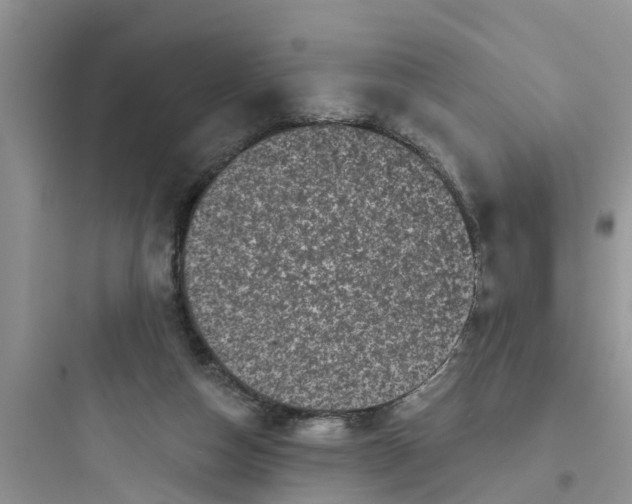 X0000097630162200803211818