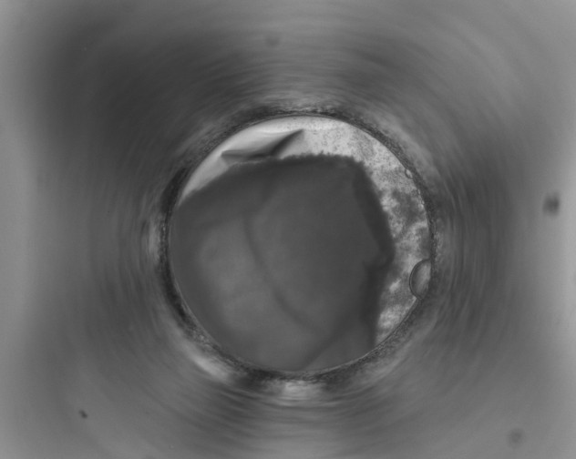 X0000097630165200803211818