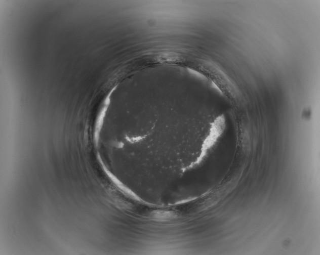 X0000097630169200803211818