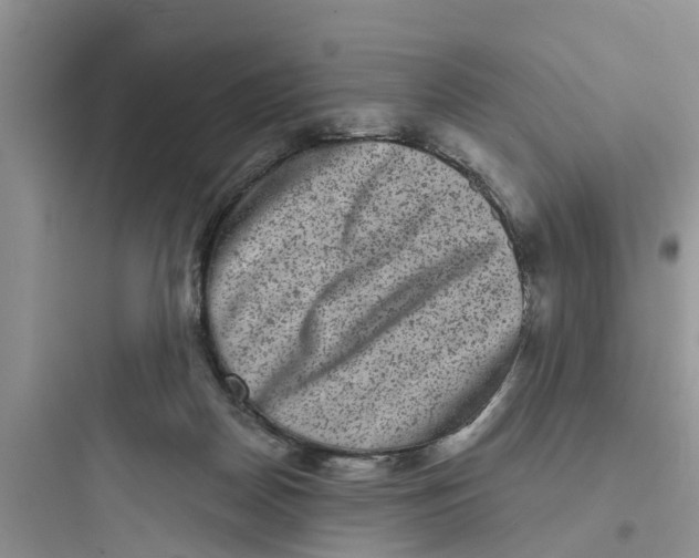 X0000097630170200803211818