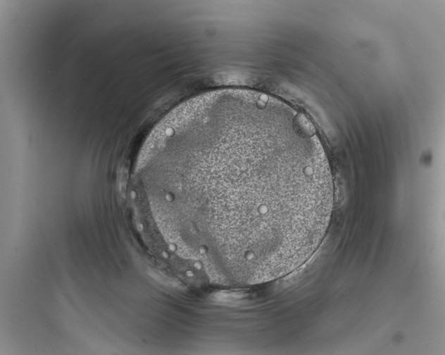 X0000097630171200803211818