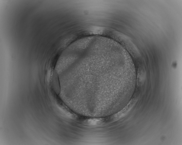 X0000097630172200803211818