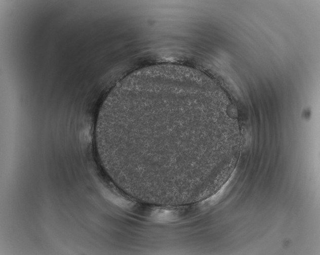 X0000097630174200803211818