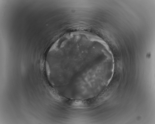 X0000097630177200803211818