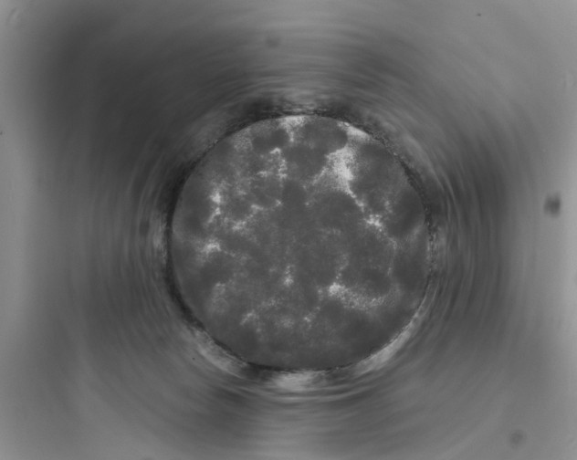 X0000097630178200803211818