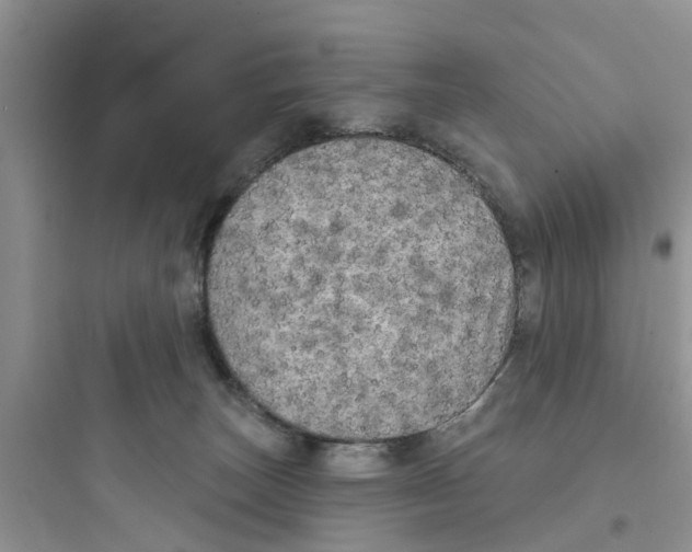 X0000097630179200803211818