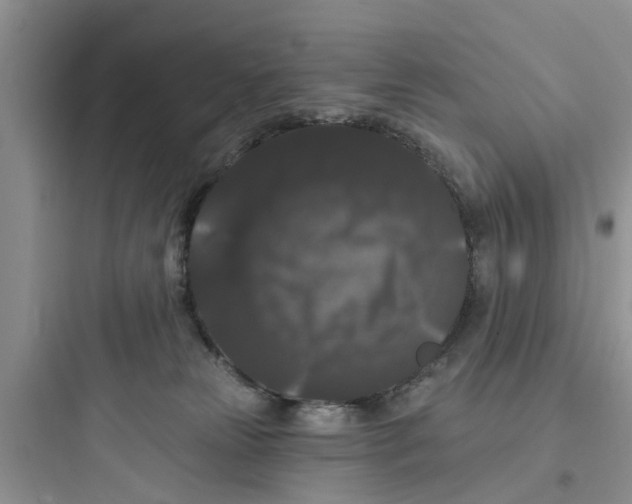 X0000097630181200803211818