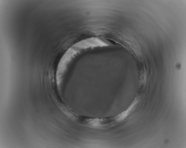 X0000097630182200803211818