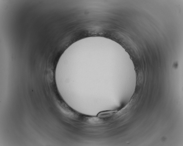 X0000097630183200803211818