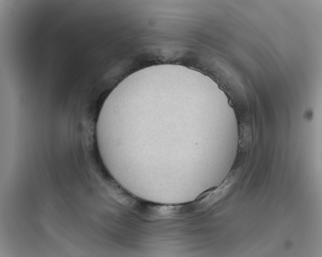 X0000097630184200803211818