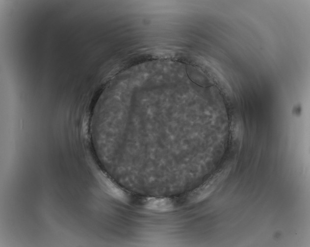 X0000097630185200803211818