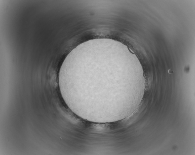 X0000097630187200803211818