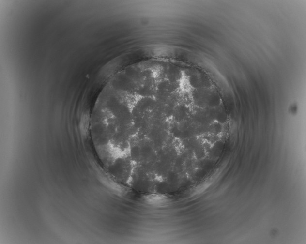 X0000097630189200803211818