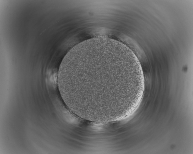 X0000097630190200803211818