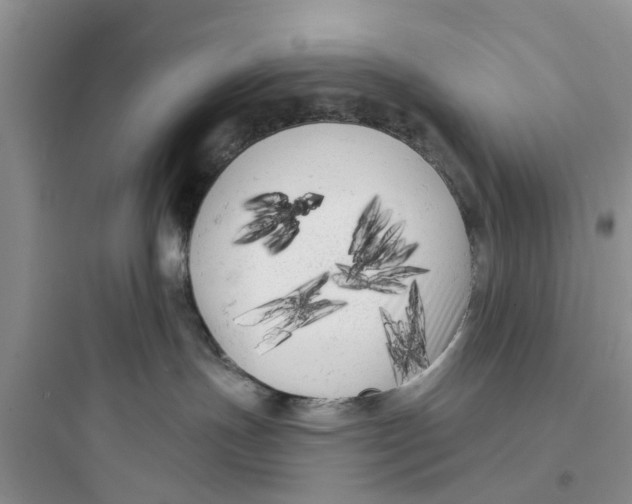 X0000097630191200803211818