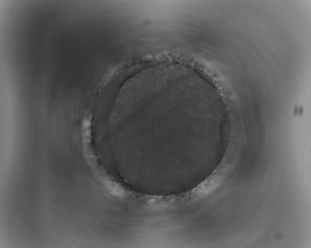 X0000097630192200803211818