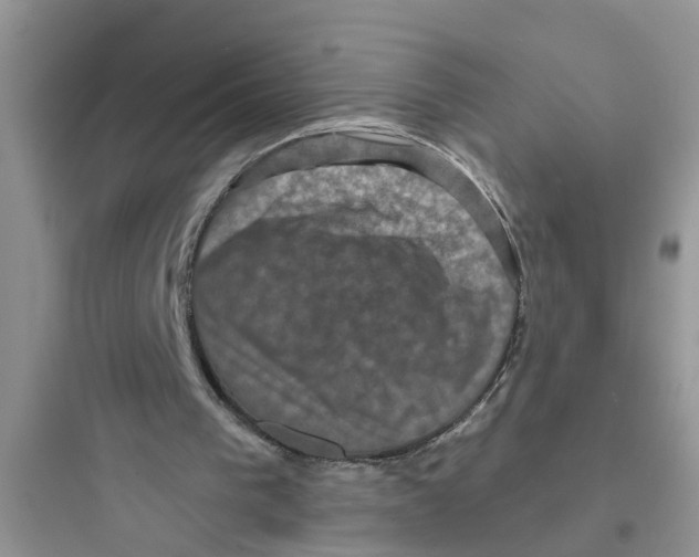 X0000097630193200803211817