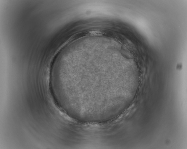 X0000097630194200803211817