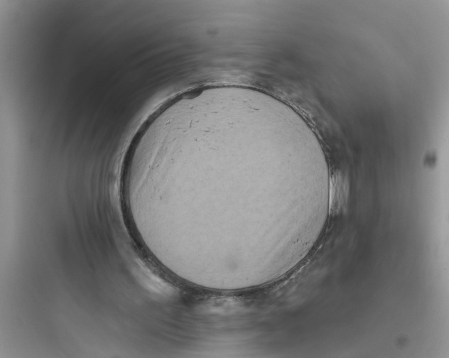 X0000097630195200803211817