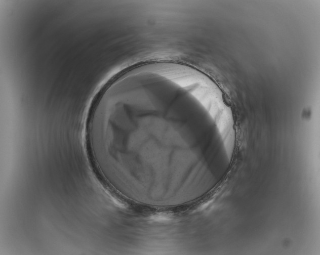 X0000097630196200803211817