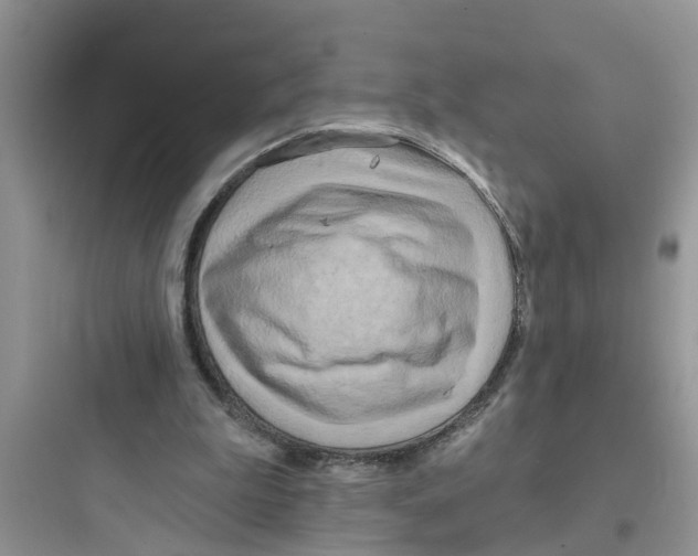 X0000097630199200803211817