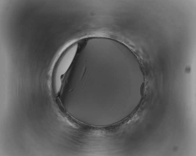 X0000097630200200803211817