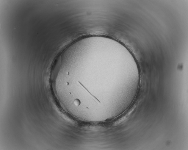 X0000097630201200803211817