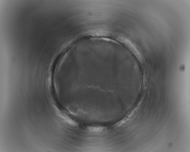 X0000097630202200803211817