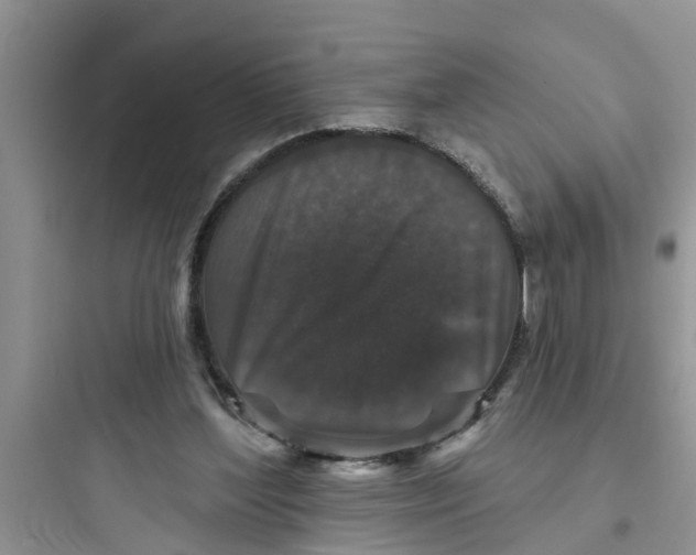 X0000097630204200803211817