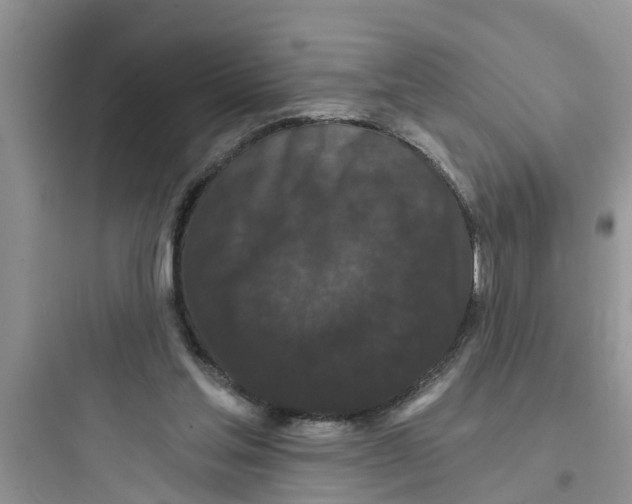 X0000097630205200803211817