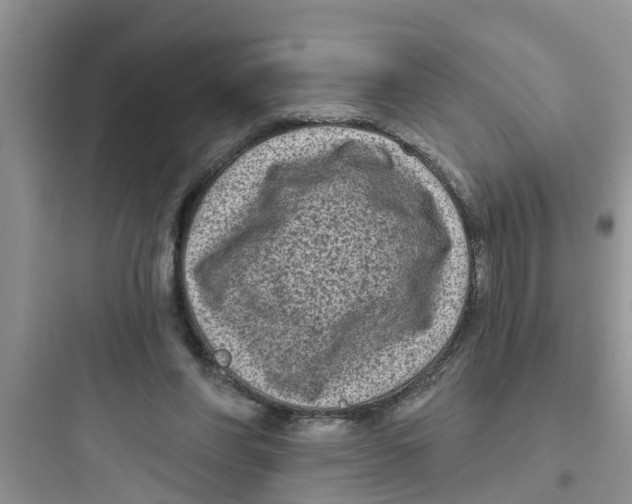 X0000097630206200803211817