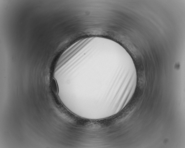 X0000097630207200803211817