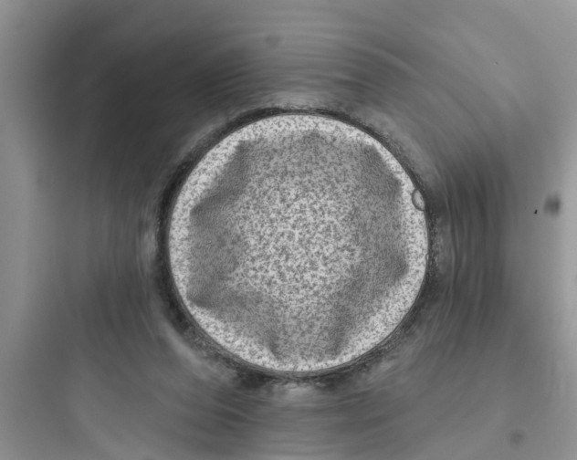 X0000097630208200803211817