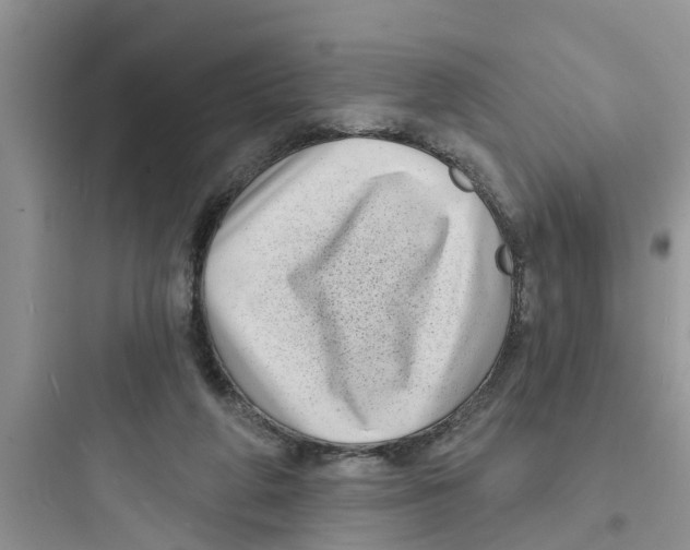 X0000097630210200803211817