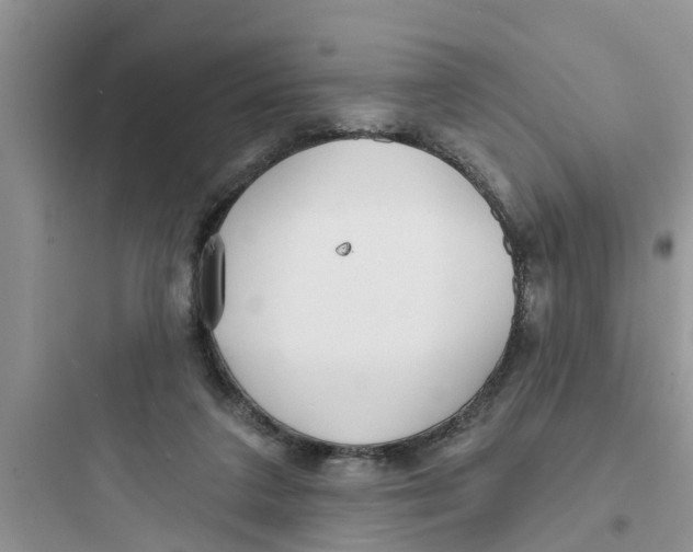 X0000097630211200803211817