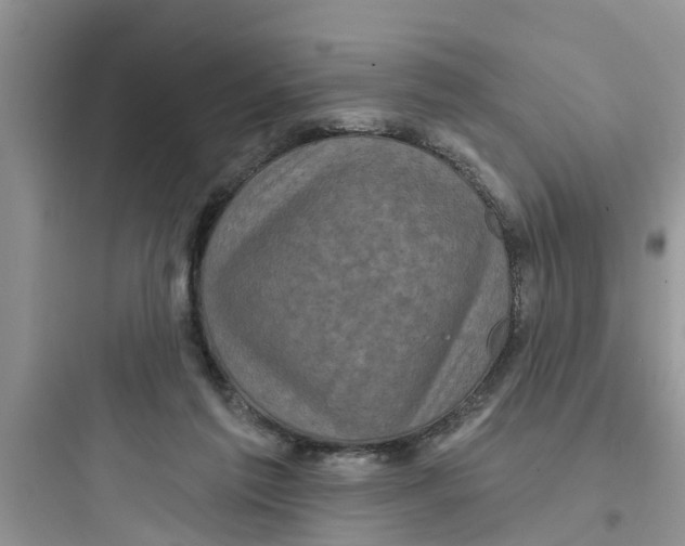 X0000097630213200803211817