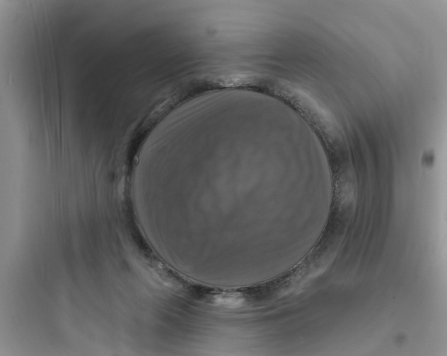 X0000097630214200803211817