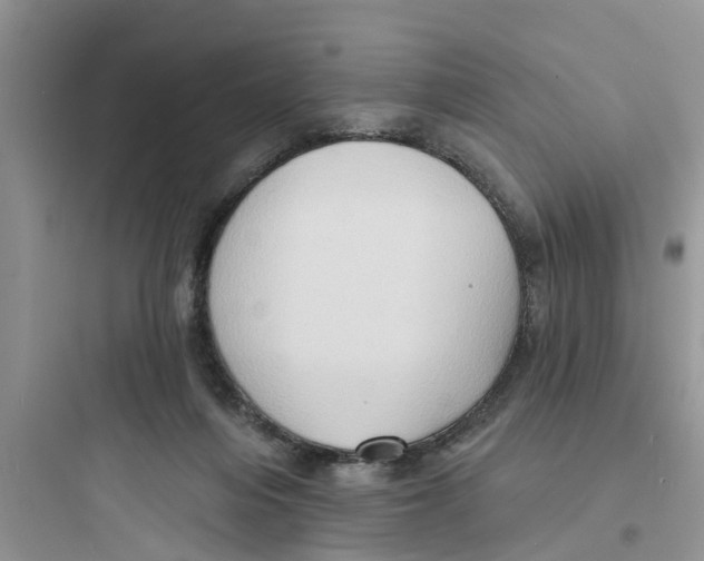 X0000097630216200803211817